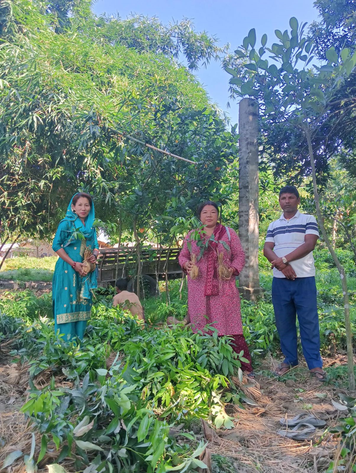 Abstract illustration of terraced fields in the Gandaki River Basin