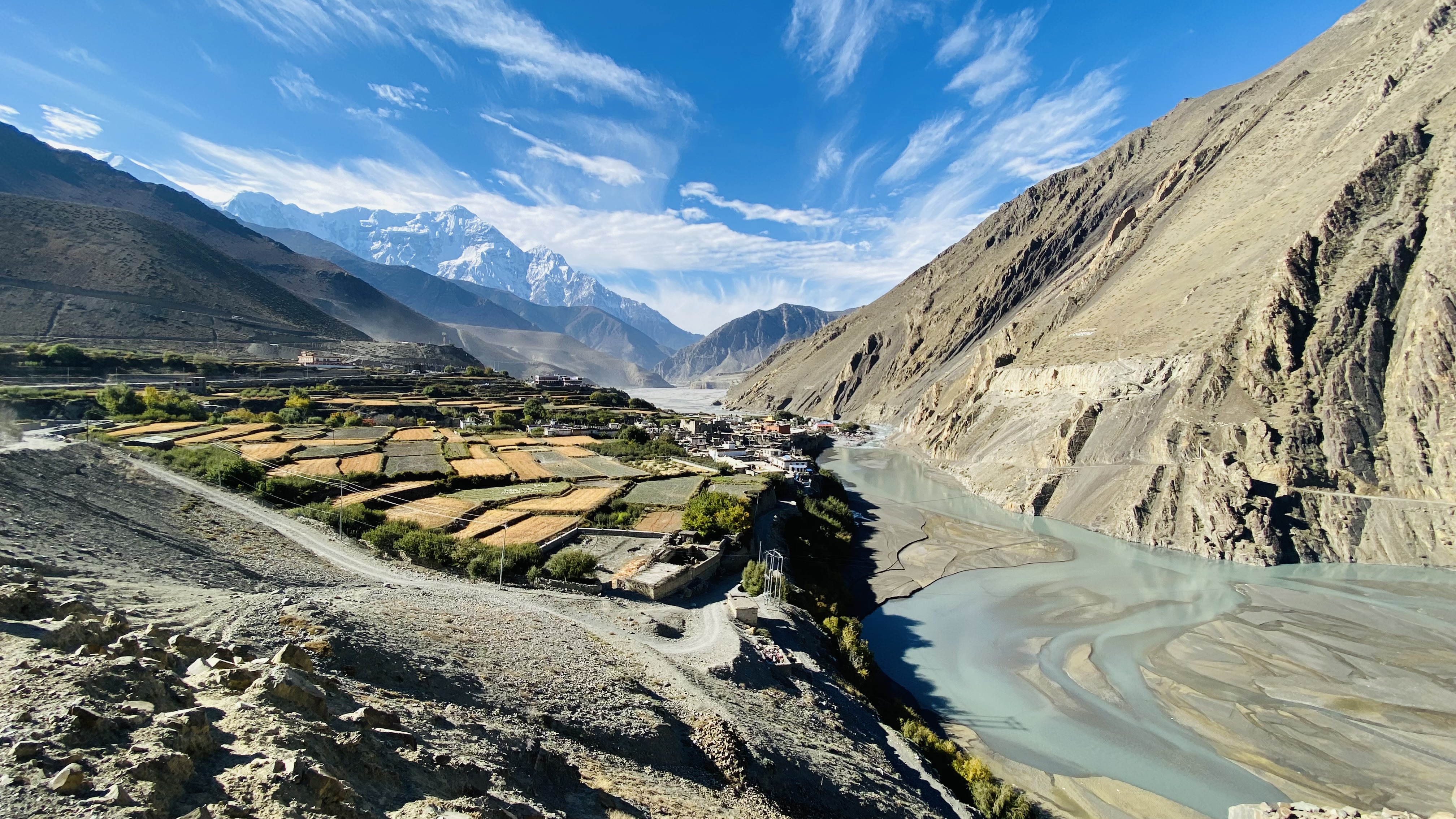 Abstract illustration representing the forests of the Gandaki Basin